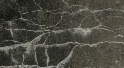 The Cracks Are Showing—And Not Where You'd Expect