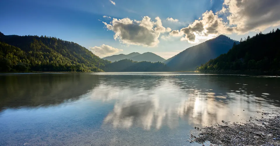 The Great REIT Metamorphosis: How Office Landlords Finally Cracked the Work-From-Home Code