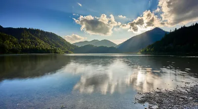 The Great REIT Metamorphosis: How Office Landlords Finally Cracked the Work-From-Home Code