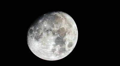 The Moon Shot Nobody's Watching While Everything Else Burns