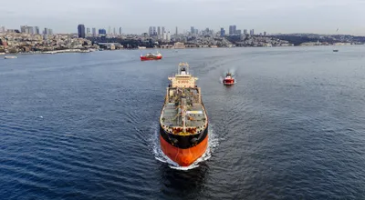 The Strait of Hormuz Just Became Your Portfolio's Biggest Wildcard