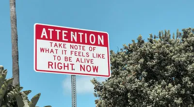 The World's Attention Span Just Snapped