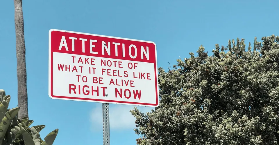 The World's Attention Span Just Snapped