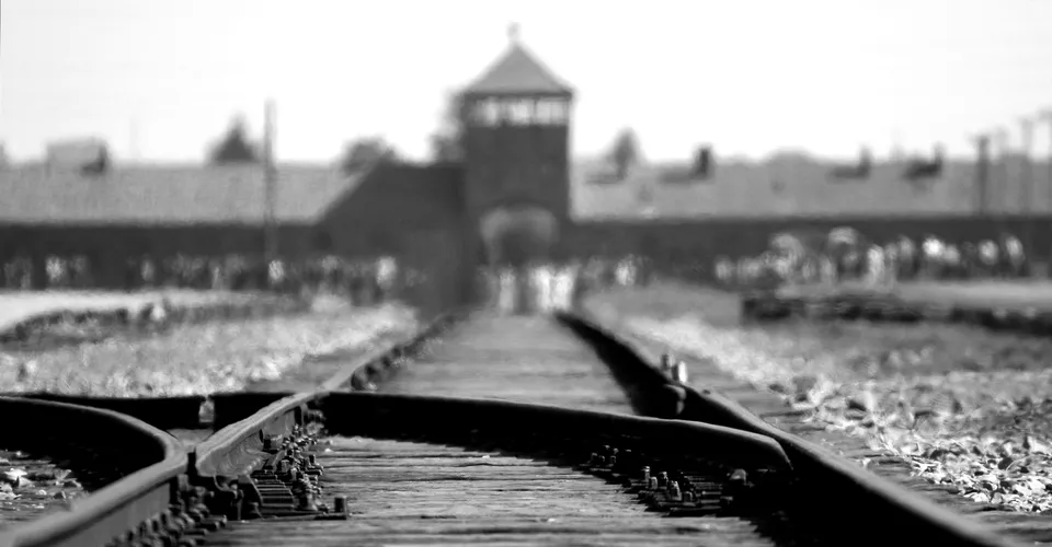 Wars, VAT Cuts, and Deportation Squads: How Crisis Politics Just Became the New Normal