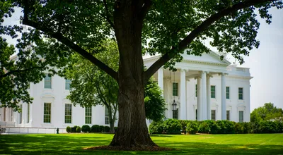 Washington's Patience with Trump Just Hit a Breaking Point