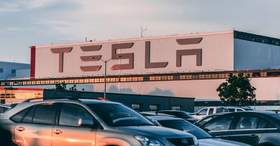 When Oil Spikes and Tesla Tanks: Reading the Tea Leaves on Market Resilience